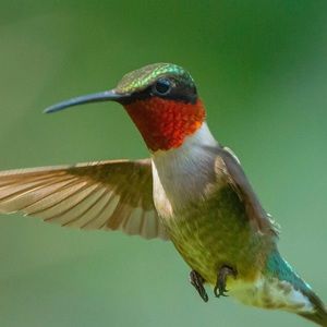 Meet your Posher, Kerry